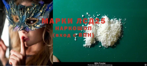 прущие грибы Чекалин