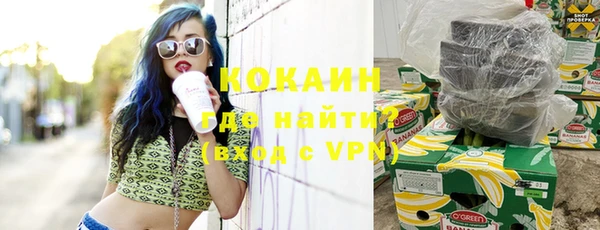 прущие грибы Чекалин